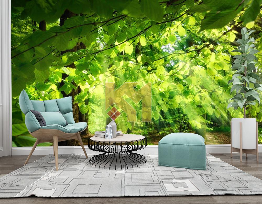 Tranh dán tường Tranh dán tường