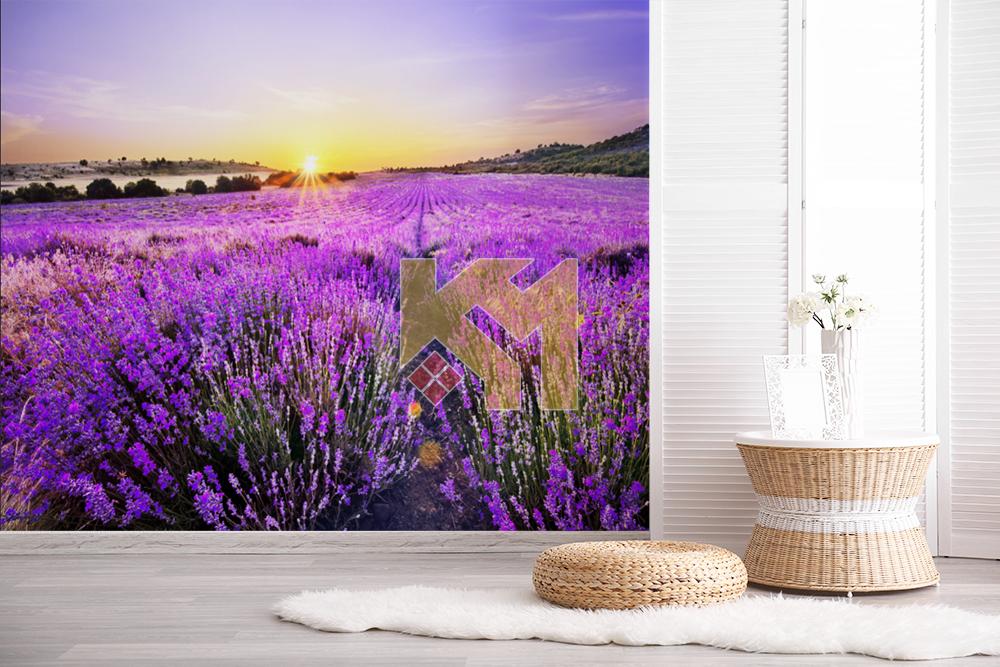 Tranh dán tường Tranh dán tường