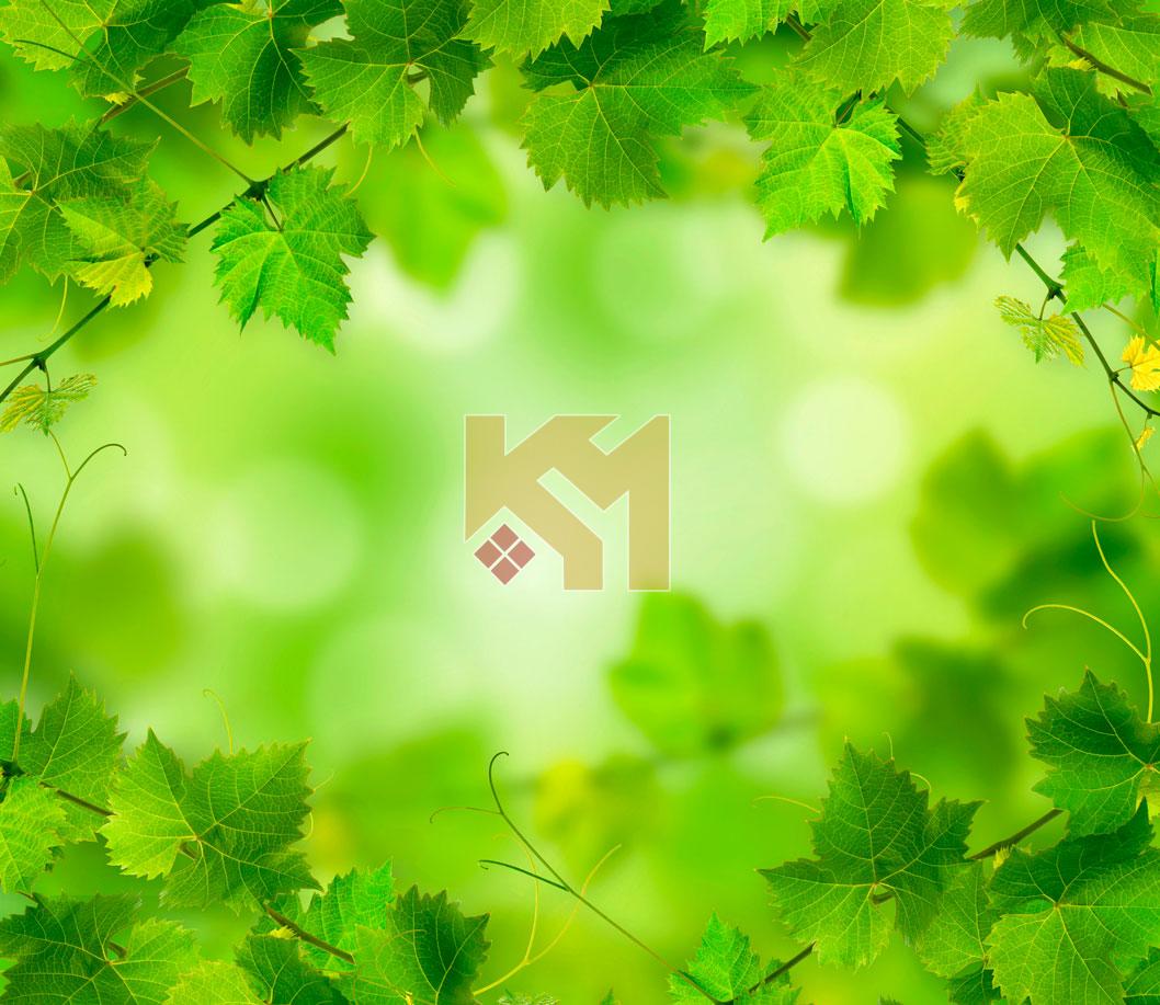 Trần xuyên sáng 24 Trần xuyên sáng 24