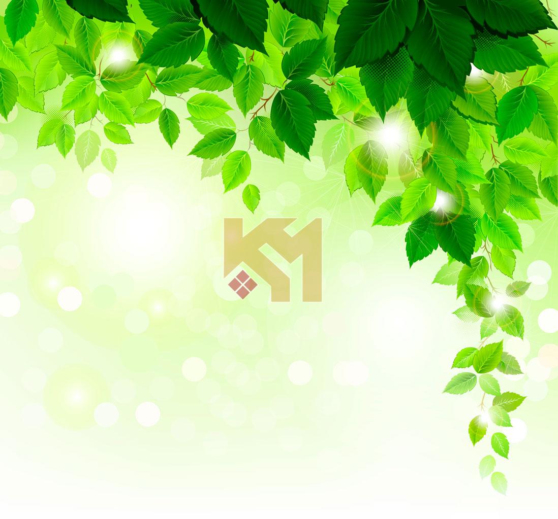 Trần xuyên sáng 18 Trần xuyên sáng 18